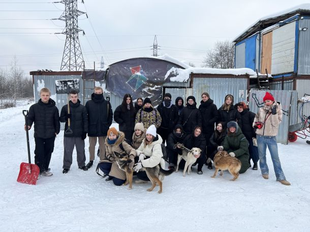 Волонтерство в приюте для собак