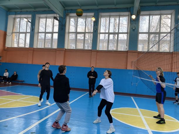 Волонтерство в приюте для собак