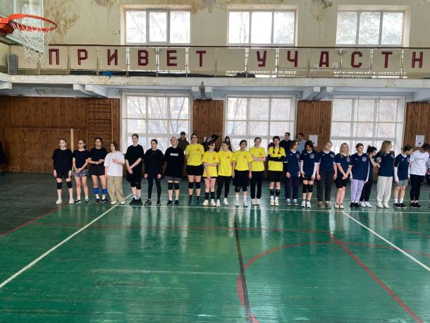 Волонтерство в приюте для собак